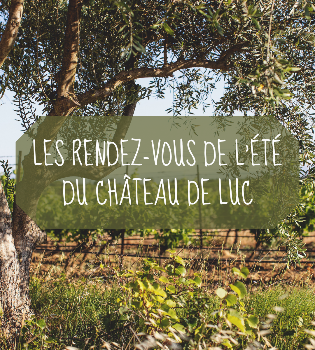 LES RENDEZ-VOUS DE L’ÉTÉ du Château de Luc