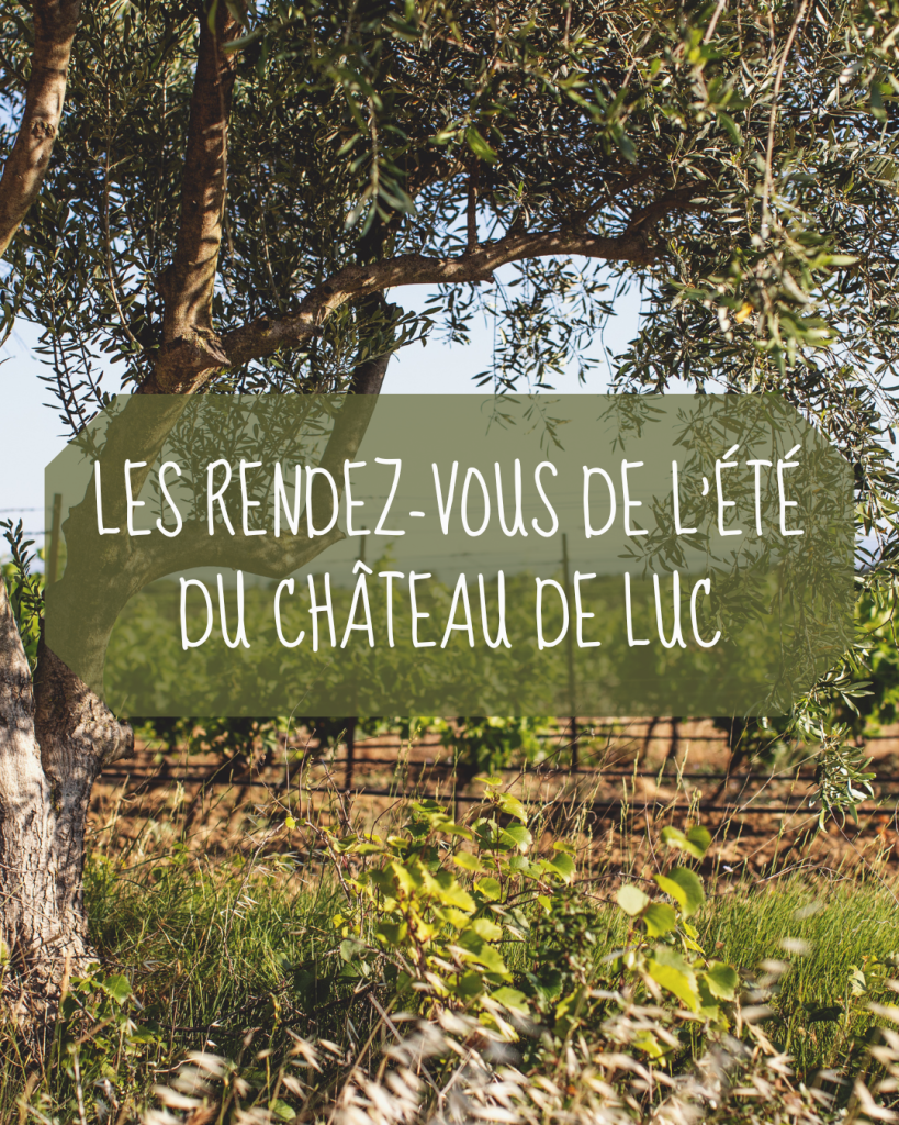 LES RENDEZ-VOUS DE L’ÉTÉ du Château de Luc